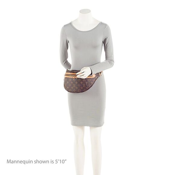 Louis Vuitton Monogram Canvas High Rise Bumbag - Picture 5 of 16